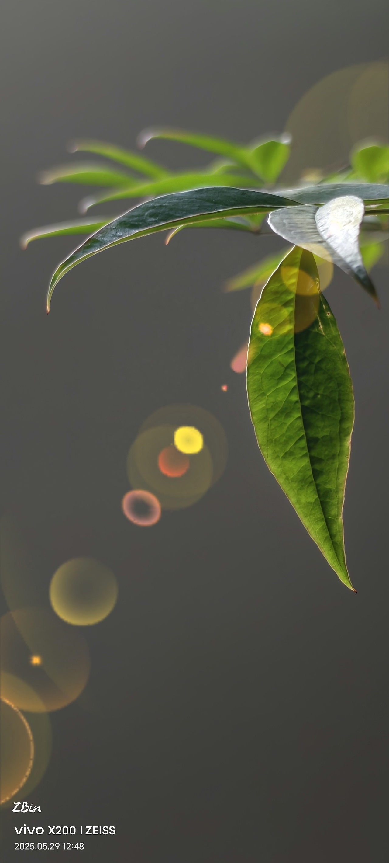 光晕（图ZMzkxMjYzMDQ4） - 风光摄影 - 站酷设计师ZBin2009原创素材 - 站酷ZCOOL