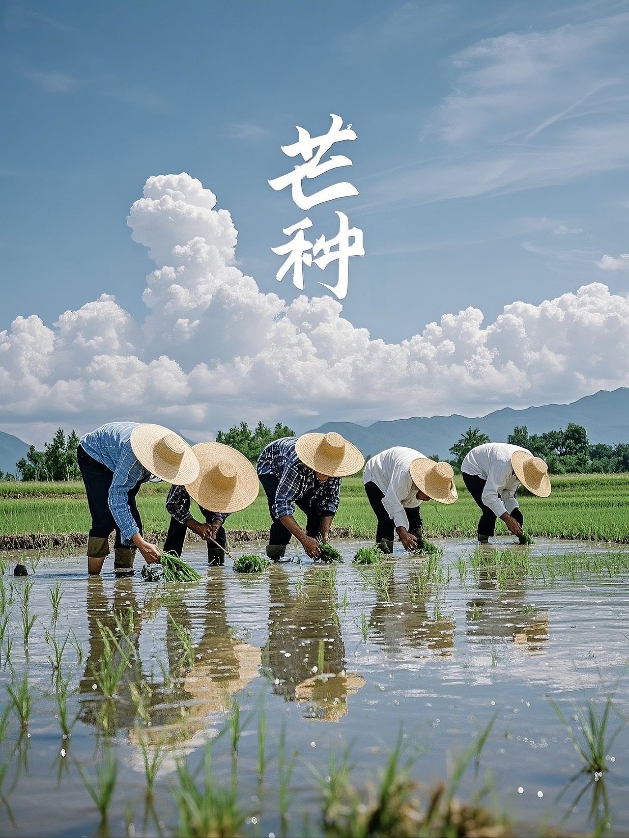 芒种海报2
