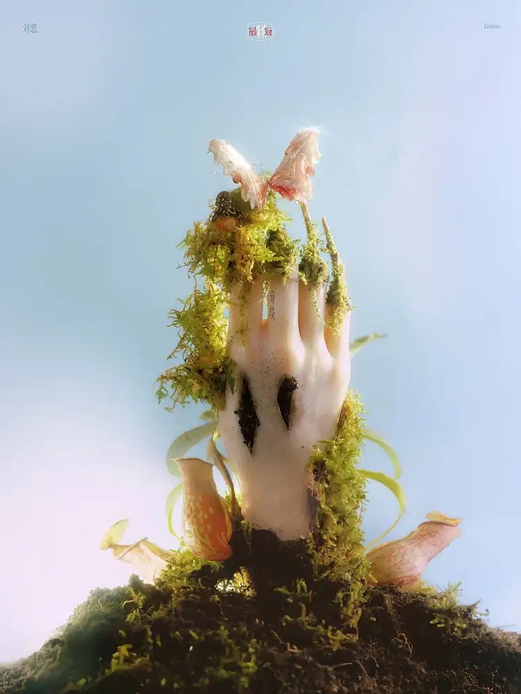 刘恋《奇谈》专辑封面