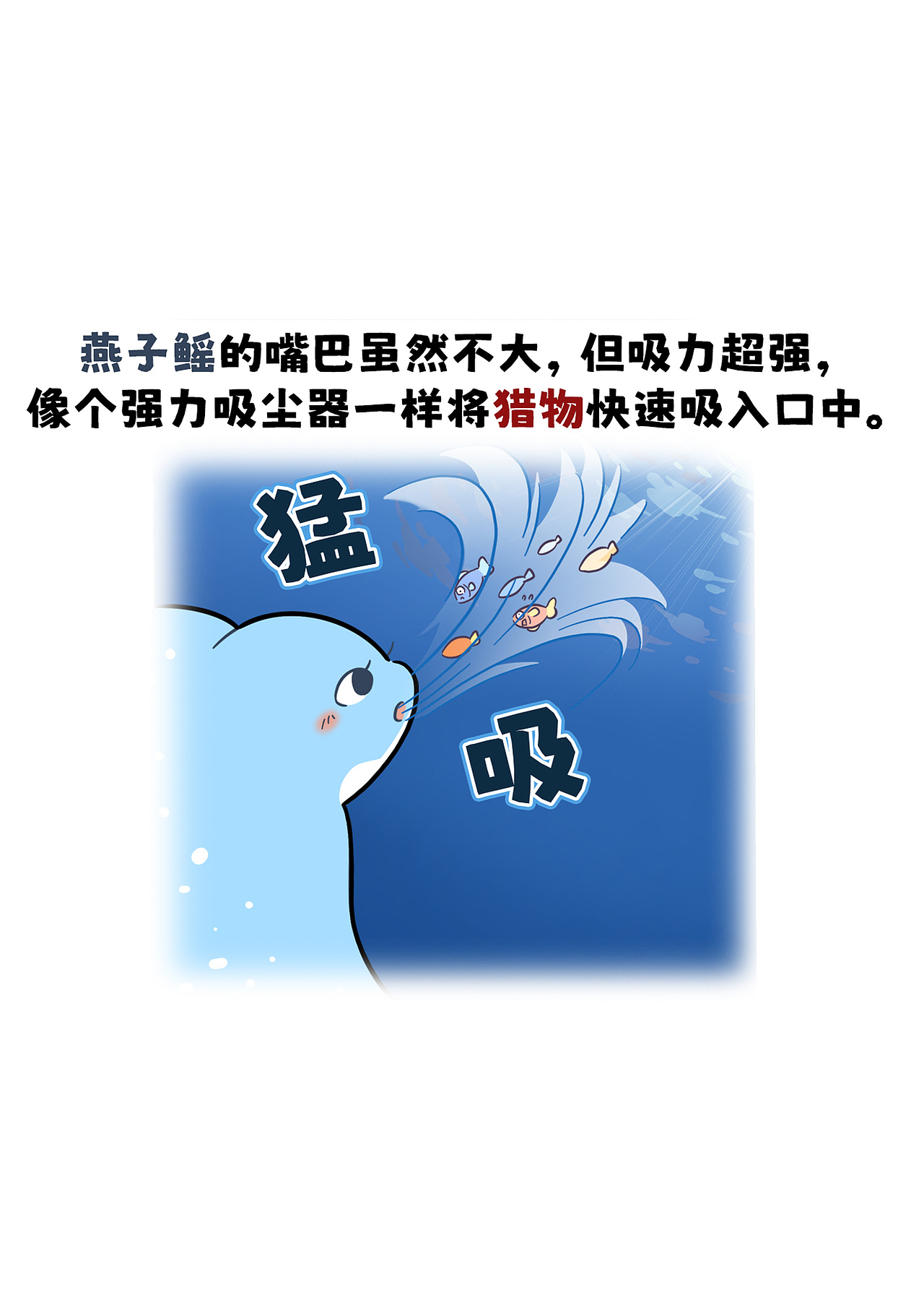 燕子鳐如何捕食?
<br>