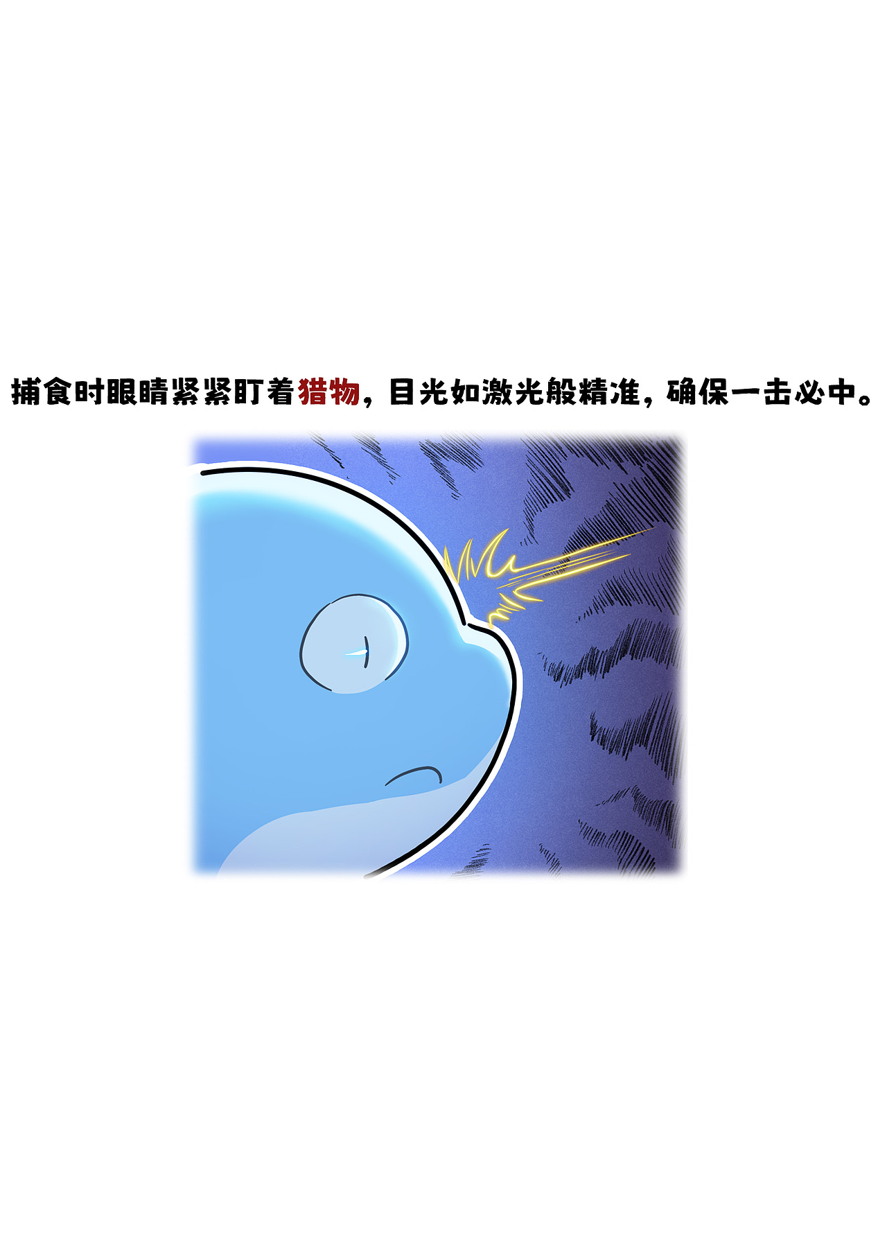 燕子鳐如何捕食?
<br>