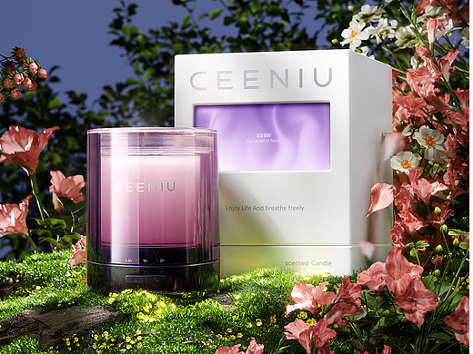 CEENIU西尼优 毕业总结