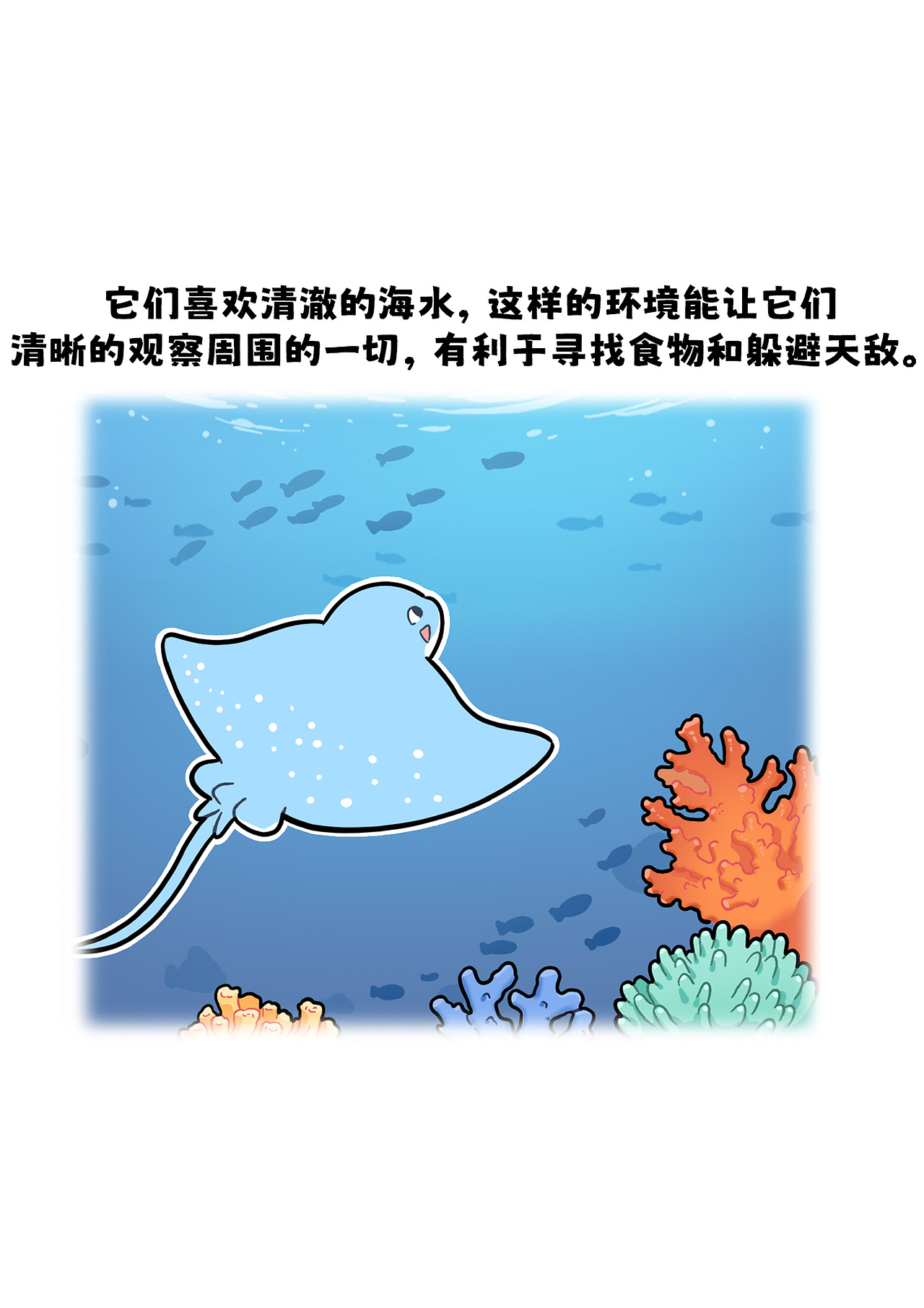 燕子鳐的生存环境是什么样的呢?