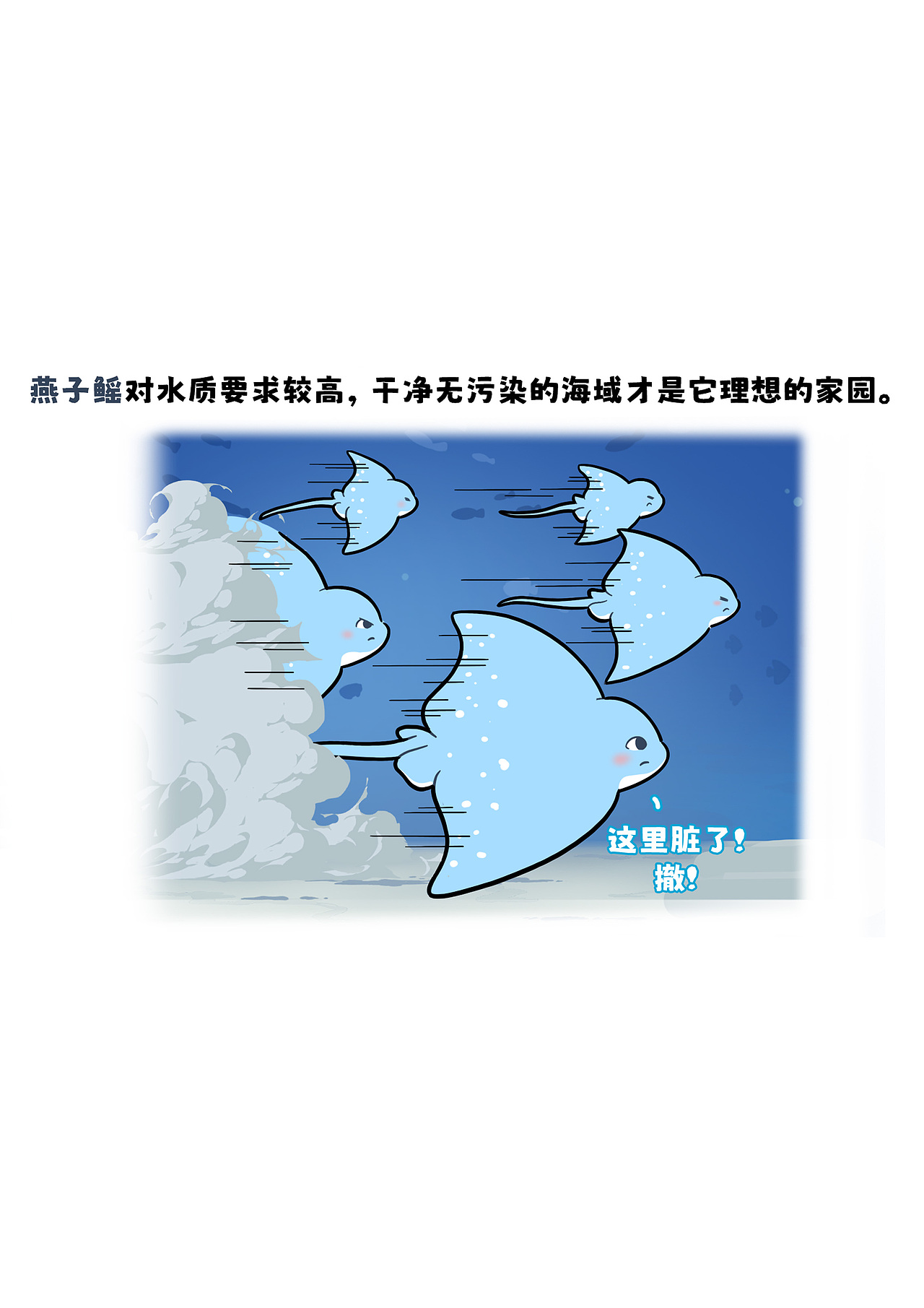 燕子鳐的生存环境是什么样的呢?