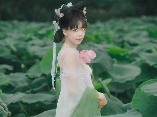 误入藕花深入