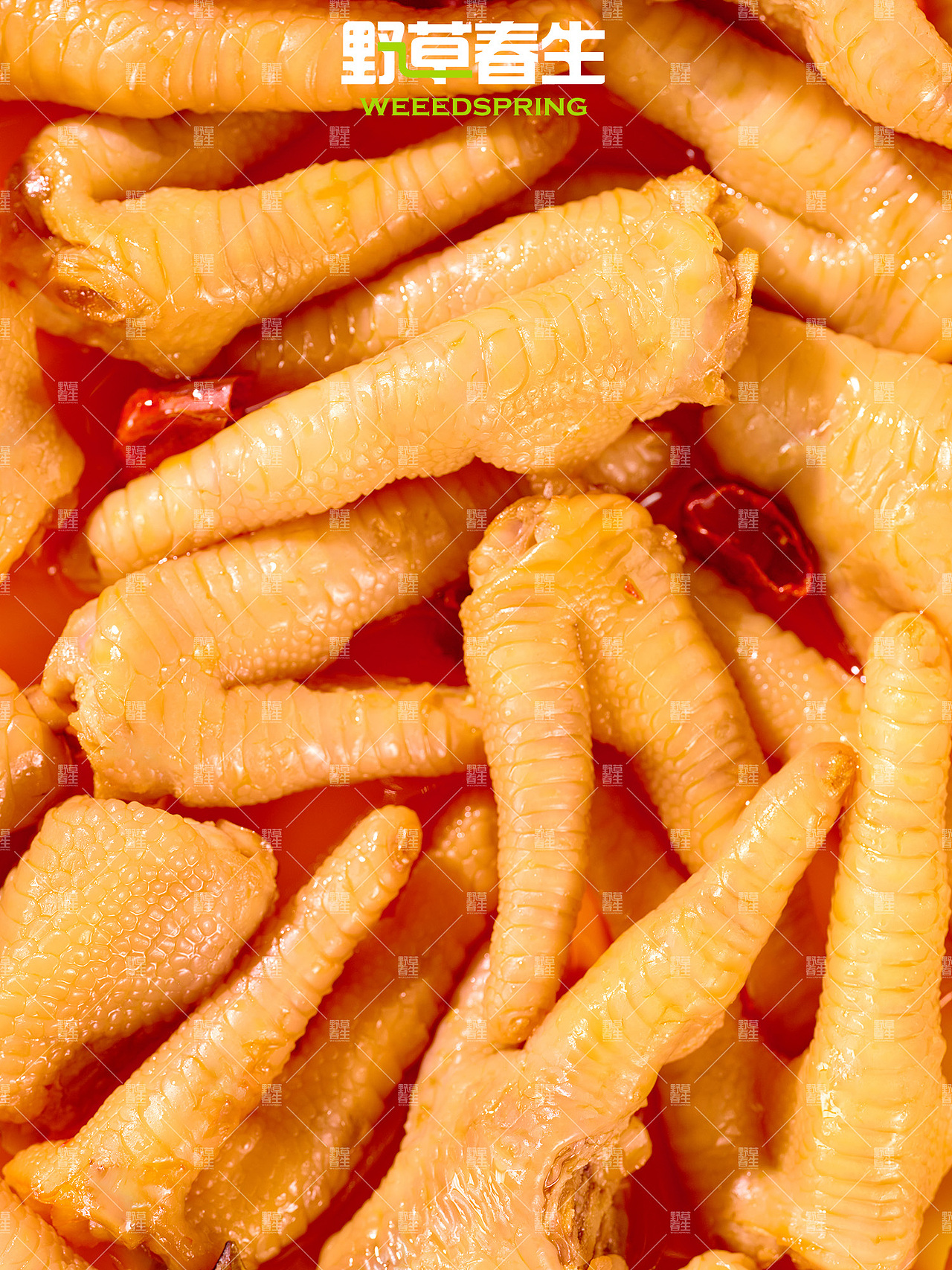 野草春生视觉X凤爪摄影