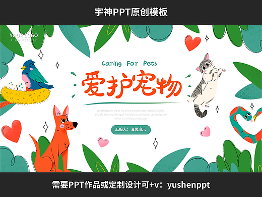 爱护宠物知识科普PPT