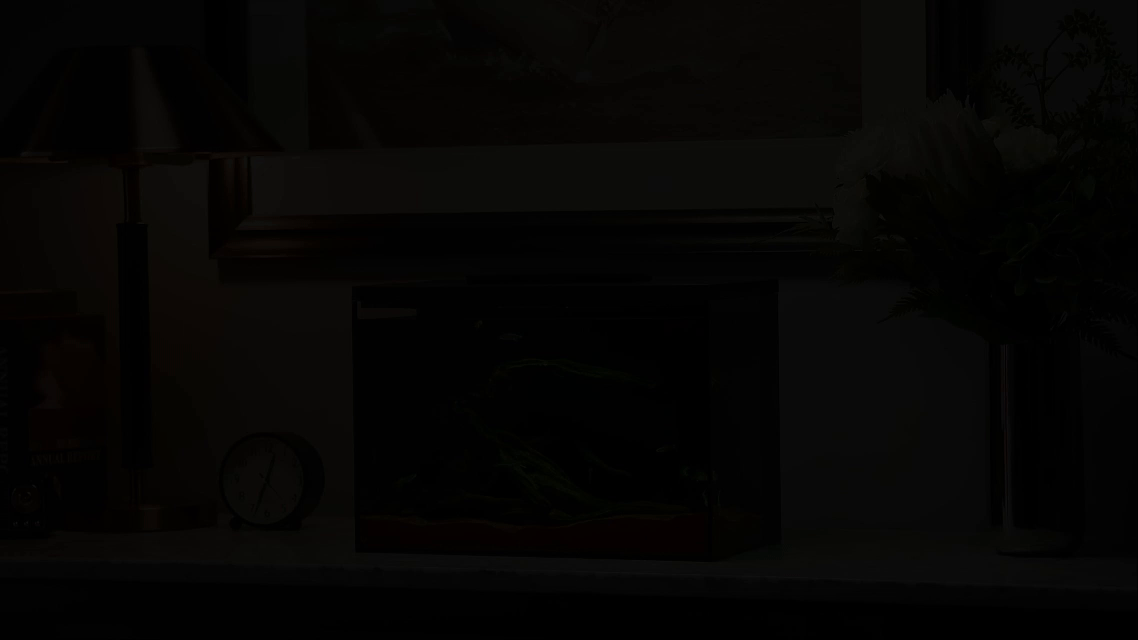 生态鱼缸/深圳东莞即刻摄影（图ZMzkxMzU2MDQw） - 其他影视 - 站酷设计师东莞即刻摄影广告原创素材 - 站酷ZCOOL