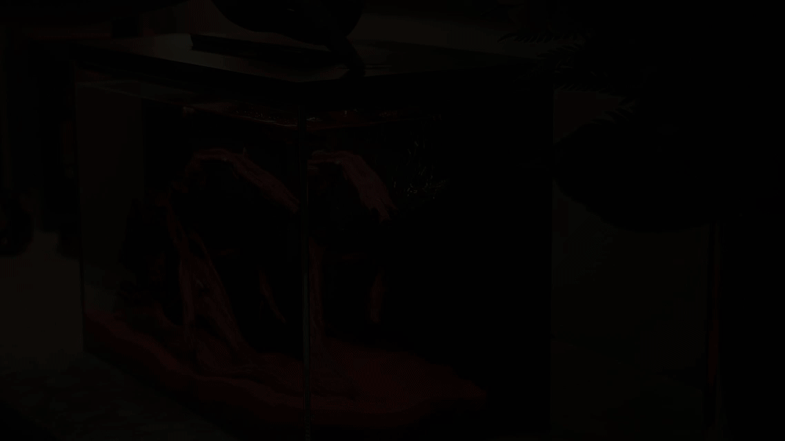 生态鱼缸/深圳东莞即刻摄影（图ZMzkxMzU2MDIw） - 其他影视 - 站酷设计师东莞即刻摄影广告原创素材 - 站酷ZCOOL