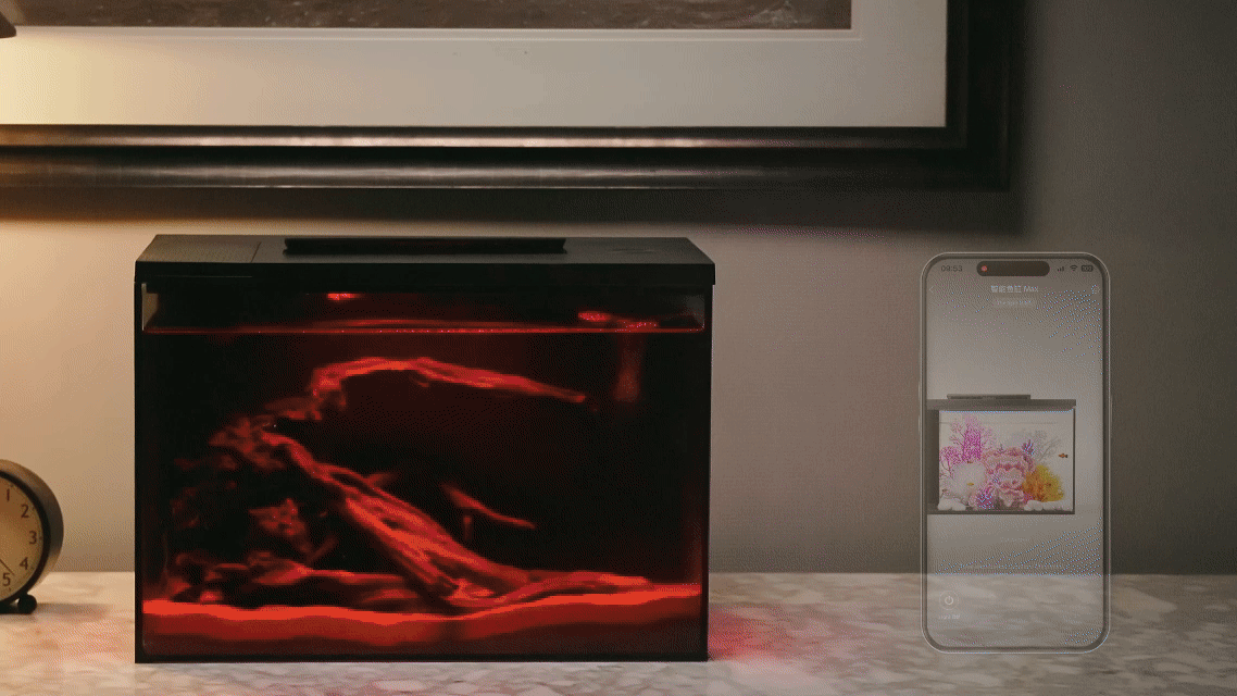 生态鱼缸/深圳东莞即刻摄影（图ZMzkxMzU2MDMy） - 其他影视 - 站酷设计师东莞即刻摄影广告原创素材 - 站酷ZCOOL