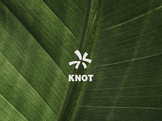 结点Knot品牌VI