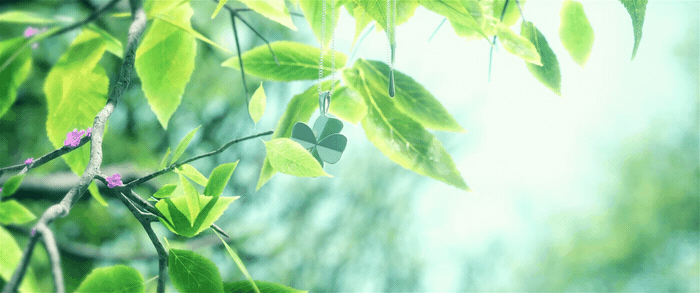 《陷入我们的热恋》片头（导剪版）（图ZMzkxMzY2NTk2） - 动画/影视 - 站酷设计师核桃_Walnut原创素材 - 站酷ZCOOL