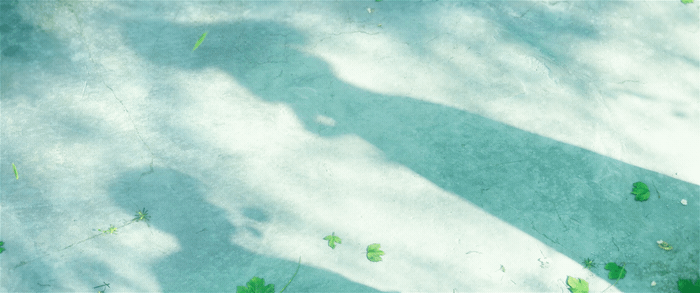 《陷入我们的热恋》片头（导剪版）（图ZMzkxMzY2NjAw） - 动画/影视 - 站酷设计师核桃_Walnut原创素材 - 站酷ZCOOL