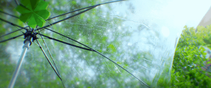 《陷入我们的热恋》片头（导剪版）（图ZMzkxMzY2NjI0） - 动画/影视 - 站酷设计师核桃_Walnut原创素材 - 站酷ZCOOL