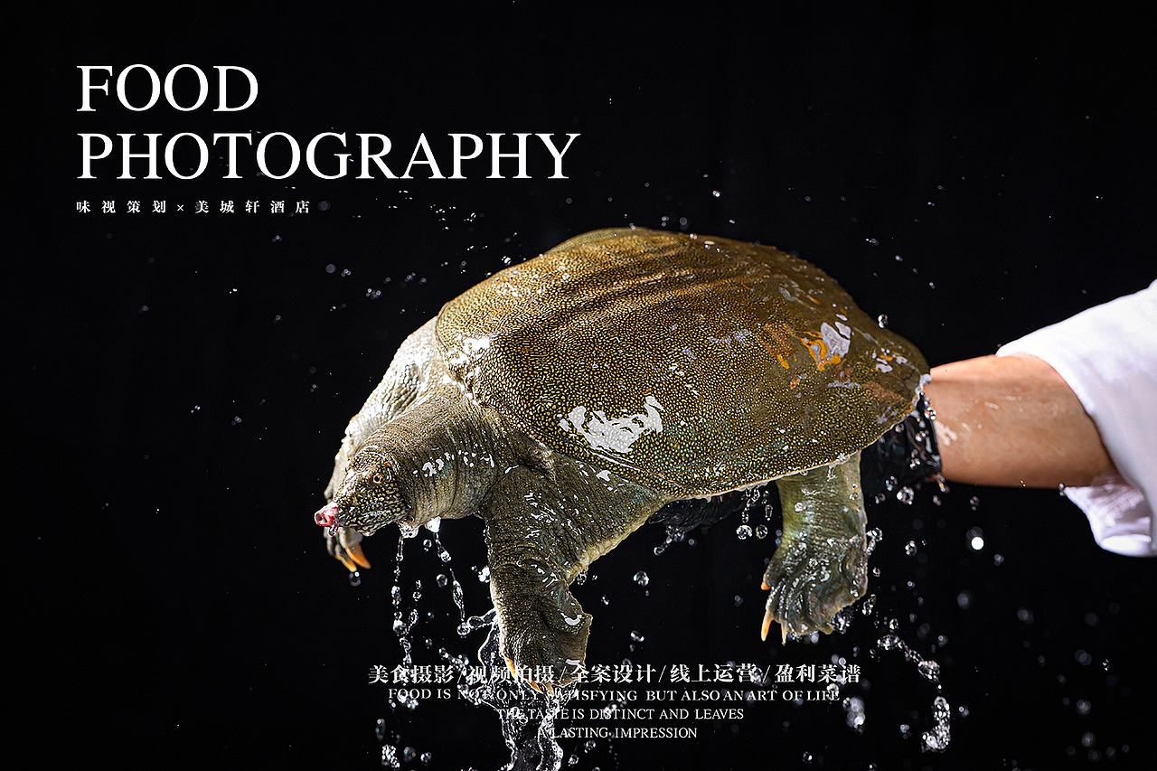 美食拍摄 | 美城轩酒店 × 味视策划（图ZMzkxMzcwNTYw） - 美食摄影 - 站酷设计师三只眼餐饮策划原创素材 - 站酷ZCOOL