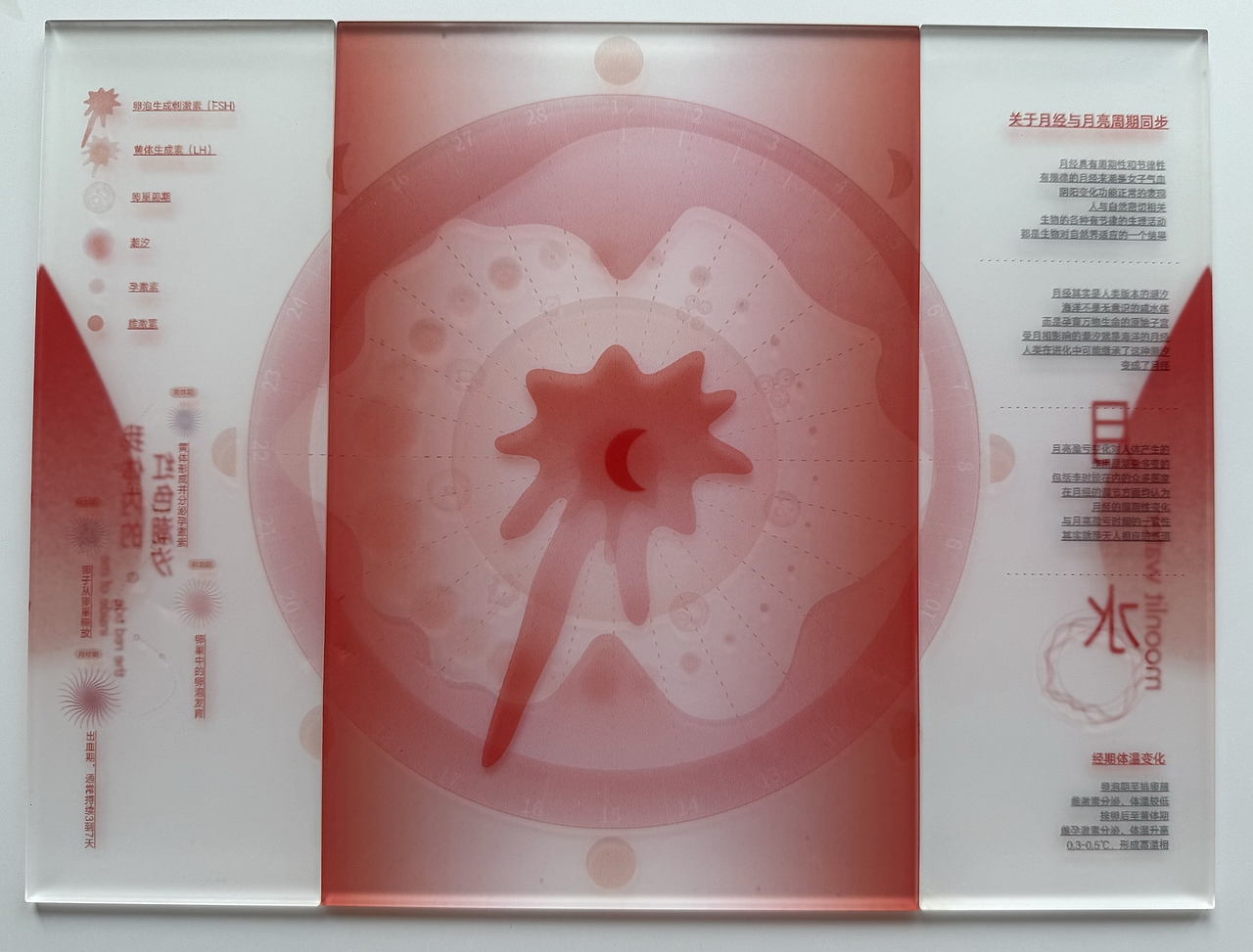 #2025青春答卷# 月水·我体内的红色潮汐 本科毕业创作（图ZMzkxMzcxNTk2） - 信息图表 - 站酷设计师天津美院25毕业展原创素材 - 站酷ZCOOL