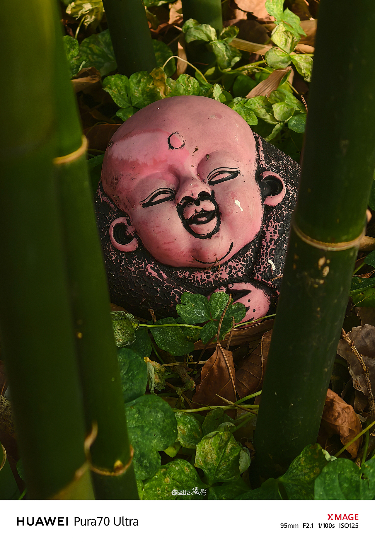 手机摄影笔记｜镜头下的瞬间，是回忆里最温暖的篇章