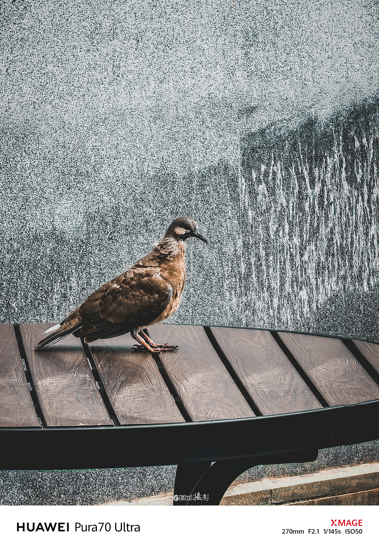 手机摄影笔记｜镜头下的瞬间，是回忆里最温暖的篇章
