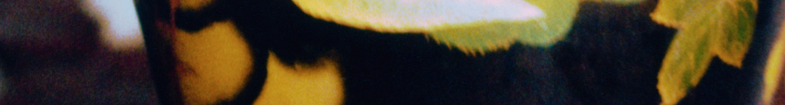 Lyu涛的个人主页（封面预览） - 主页封面设置 - 站酷设计师Lyu涛原创素材 - 站酷ZCOOL