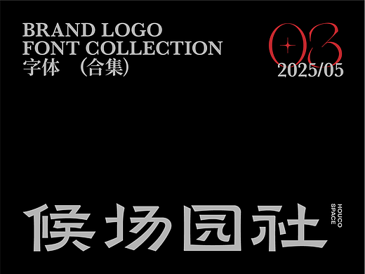 2025 Vol.03 品牌字体设计丨字体设计 × 麦图Design