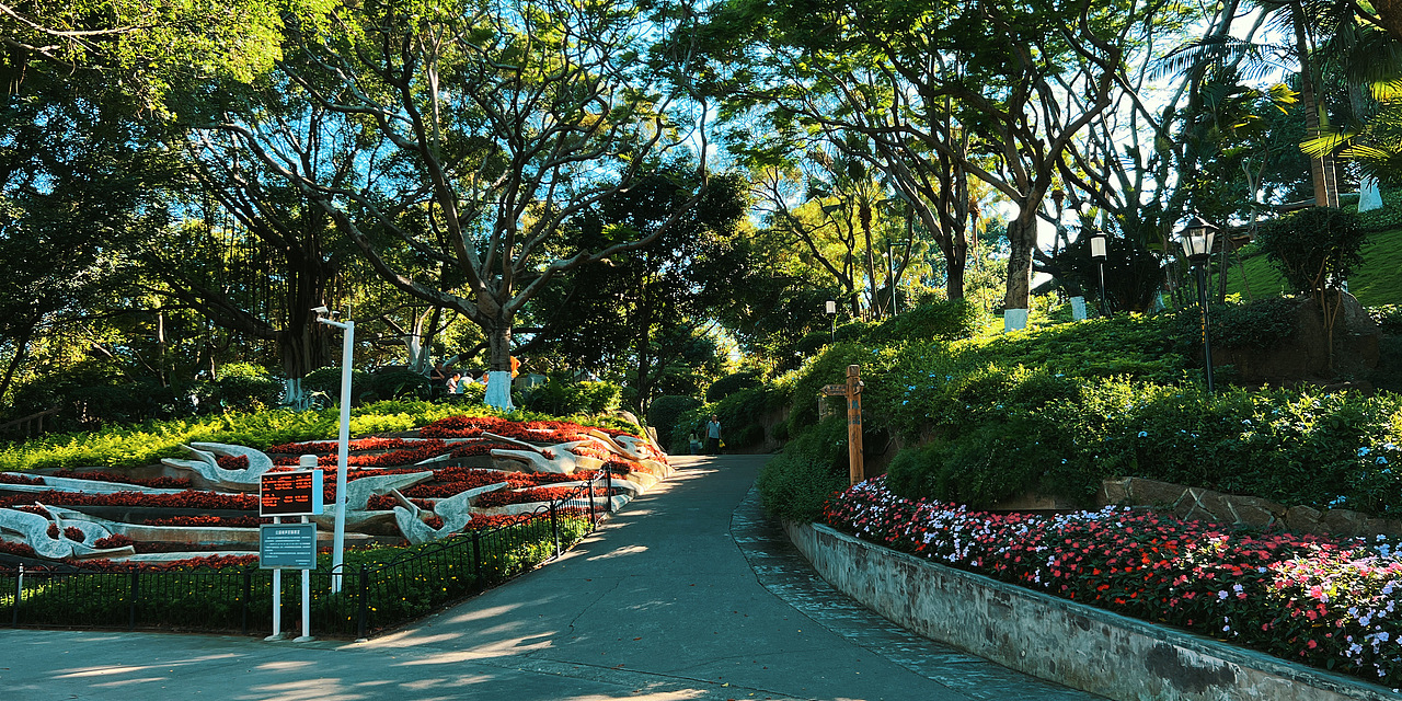 SUMMER IS COMING 之 紫竹林梧村山