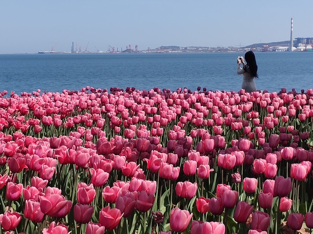 你是最美的风景