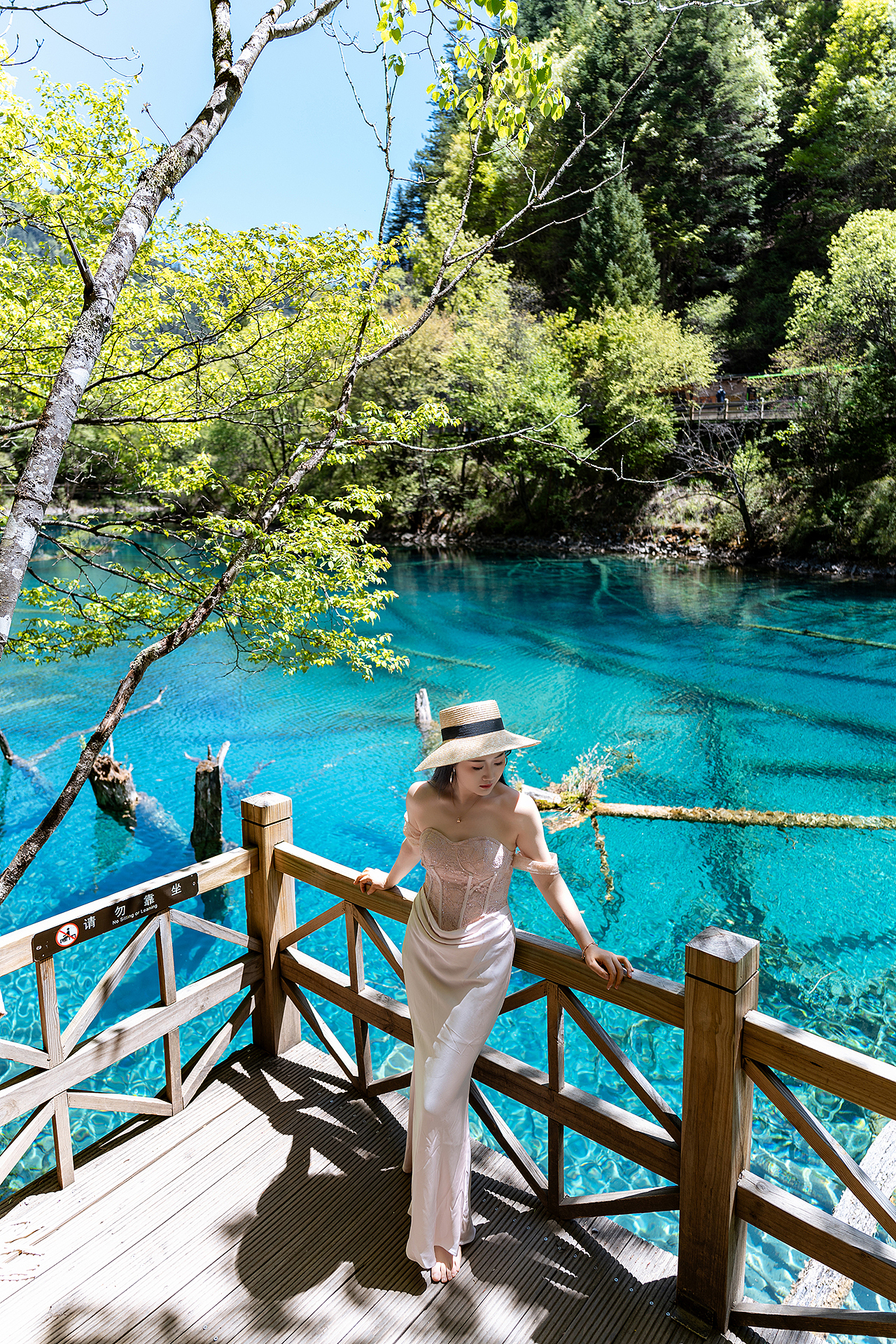 不是我说,九寨沟哪家旅拍能拍出九寨沟的美