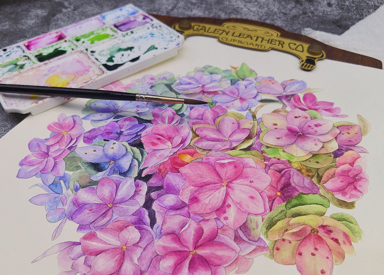 手绘水彩绣球花（图ZMzkxNDIzOTQ4） - 商业插画 - 站酷设计师郭小喵miao原创素材 - 站酷ZCOOL