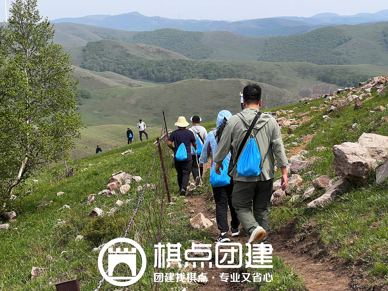 棋点出品|沿途可欣赏云杉林、湿地和丘陵风光
