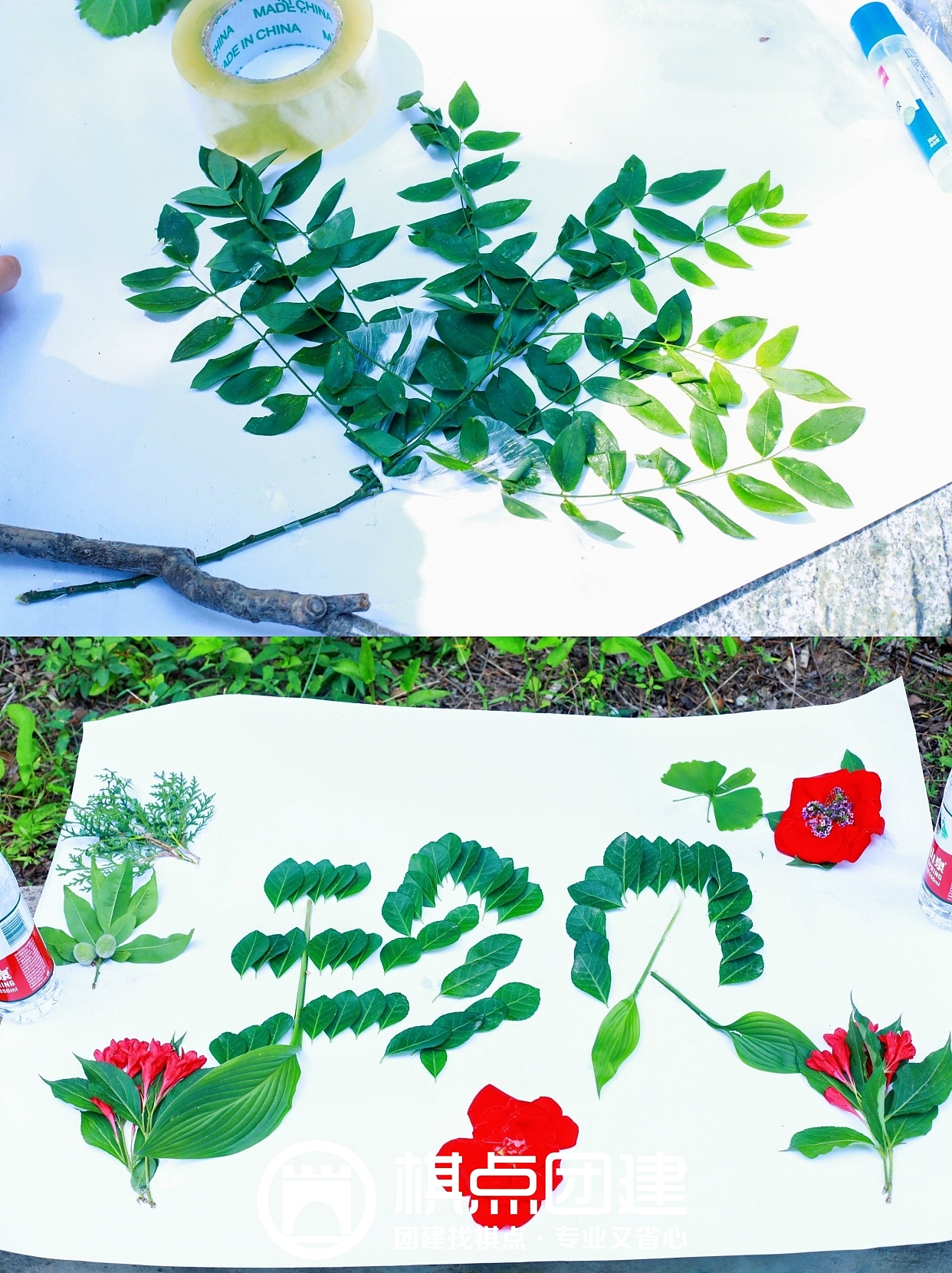 棋点出品|珍贝主题,自然美育手工,每一个都很有趣