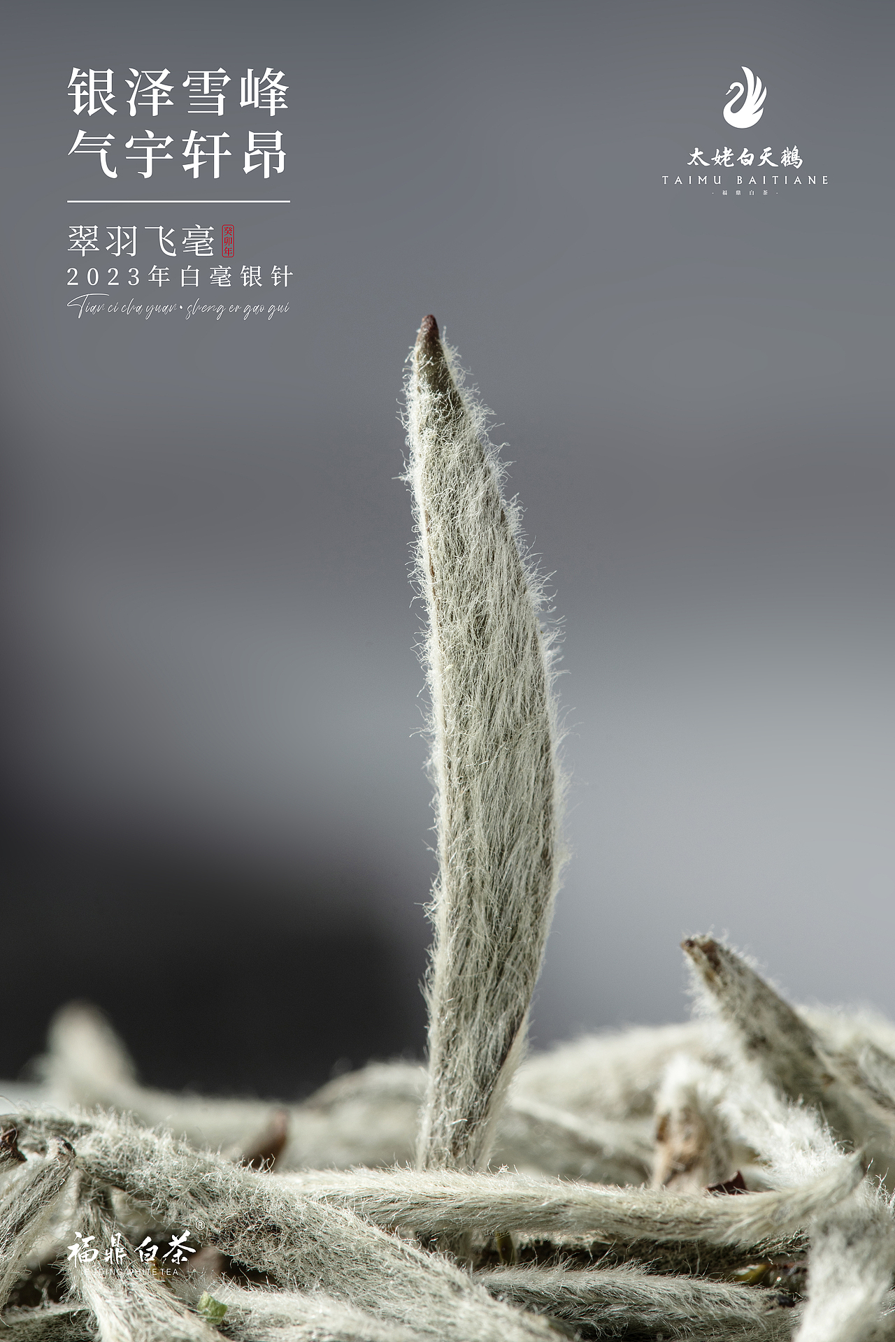 醉羽飞豪——2023年白毫银针（图ZMzkxNDI4NTg4） - 产品摄影 - 站酷设计师亲研图摄原创素材 - 站酷ZCOOL