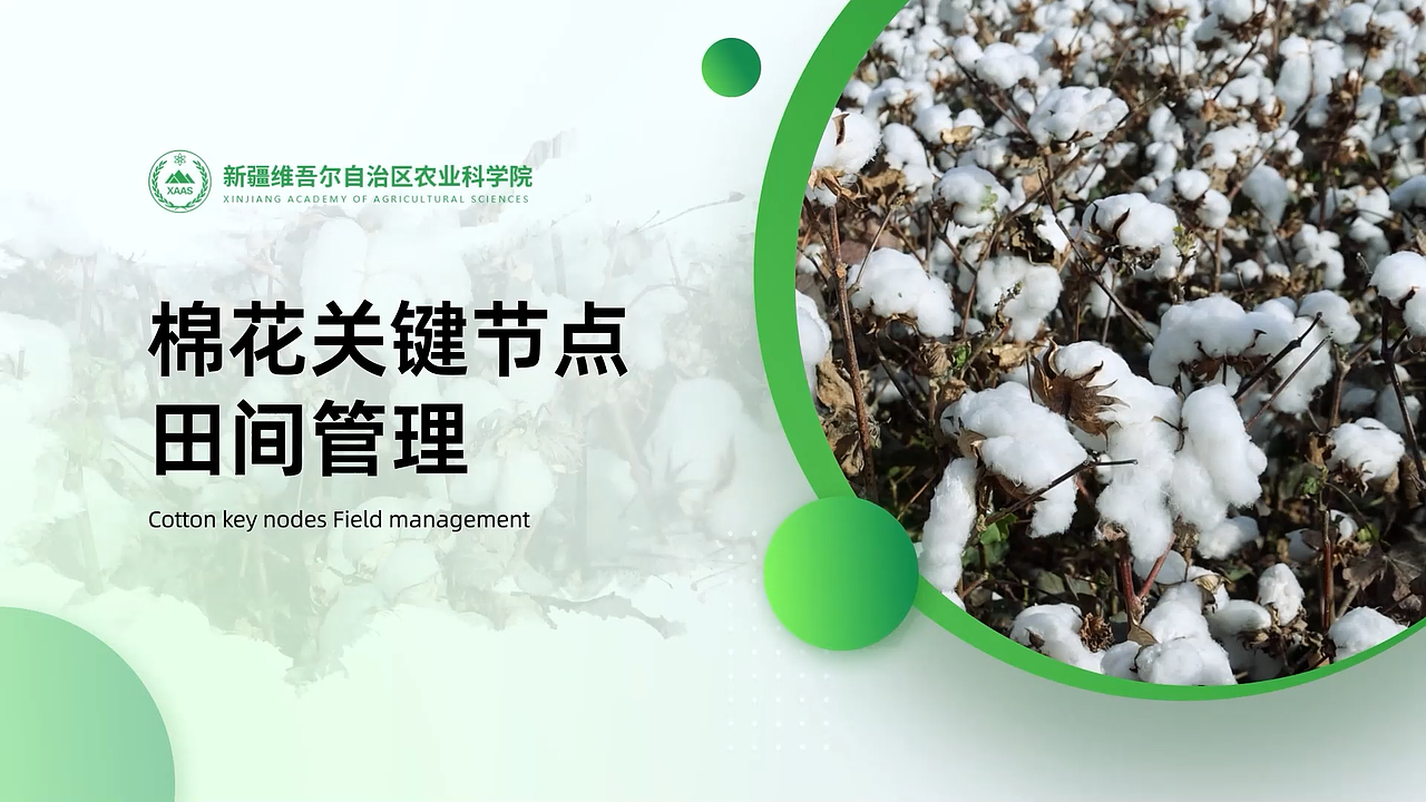 后期剪辑和包装-展示