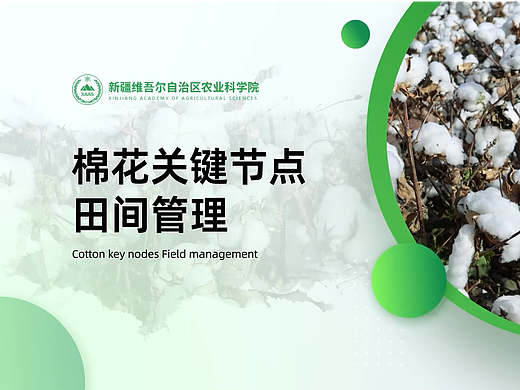 后期剪辑和包装-展示