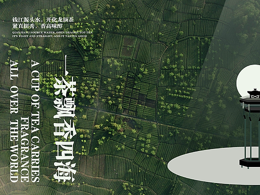 开化龙顶|茶叶品牌VI设计 