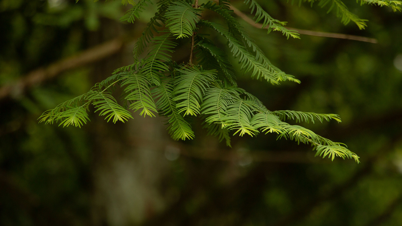 窗口岁月遗迹（图ZMzkxNDM2MjM2） - 风光摄影 - 站酷设计师HUANGBOOOO原创素材 - 站酷ZCOOL