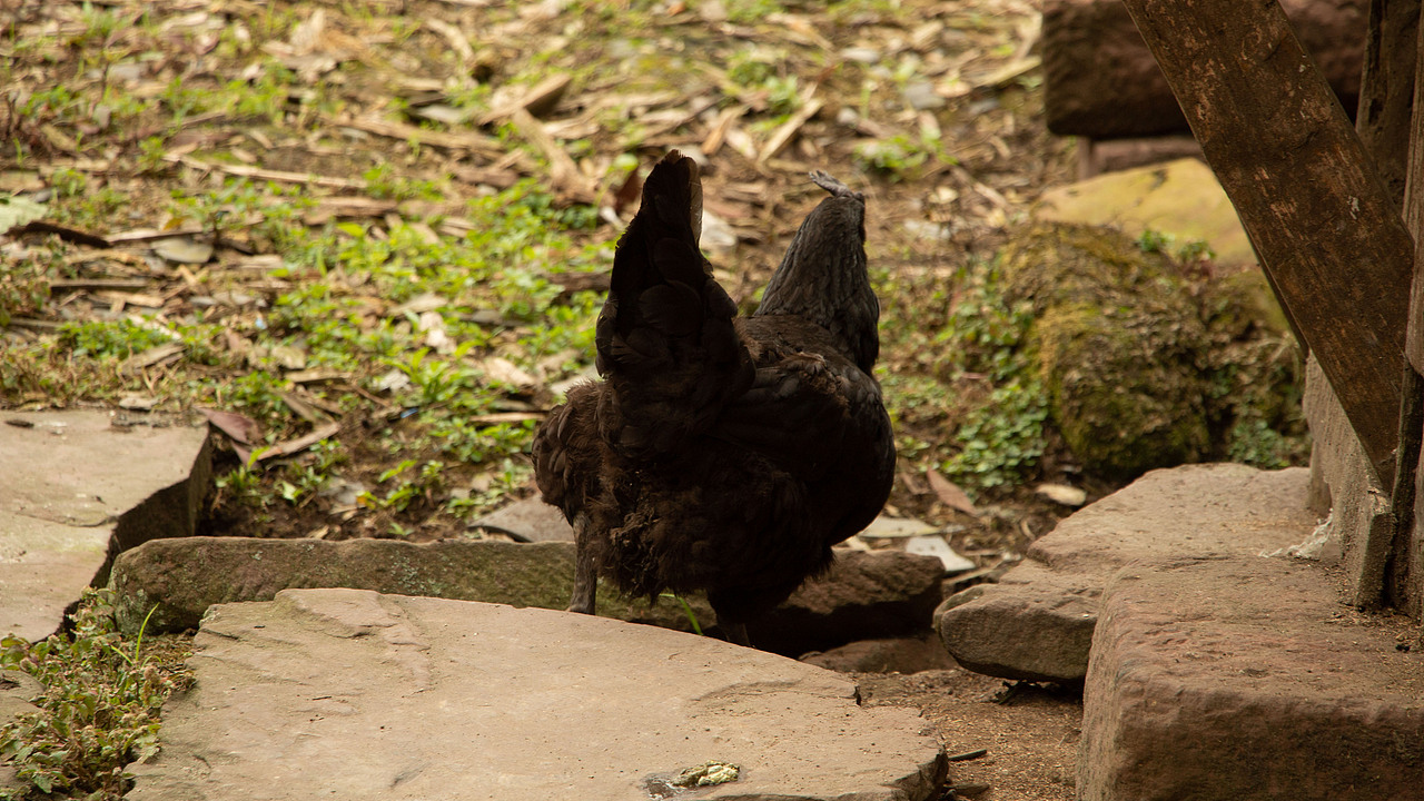 窗口岁月遗迹（图ZMzkxNDM2MzAw） - 风光摄影 - 站酷设计师HUANGBOOOO原创素材 - 站酷ZCOOL