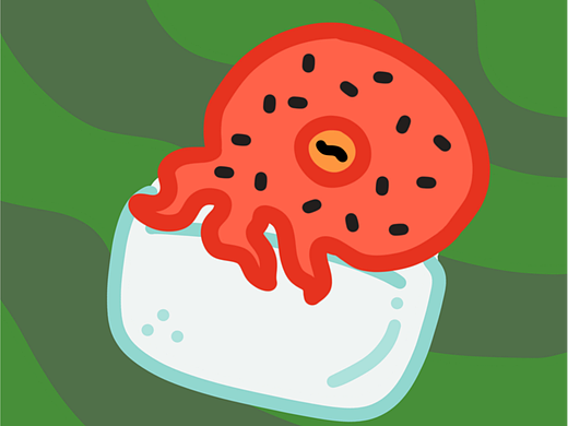 动·食物系列：西瓜章鱼刨冰