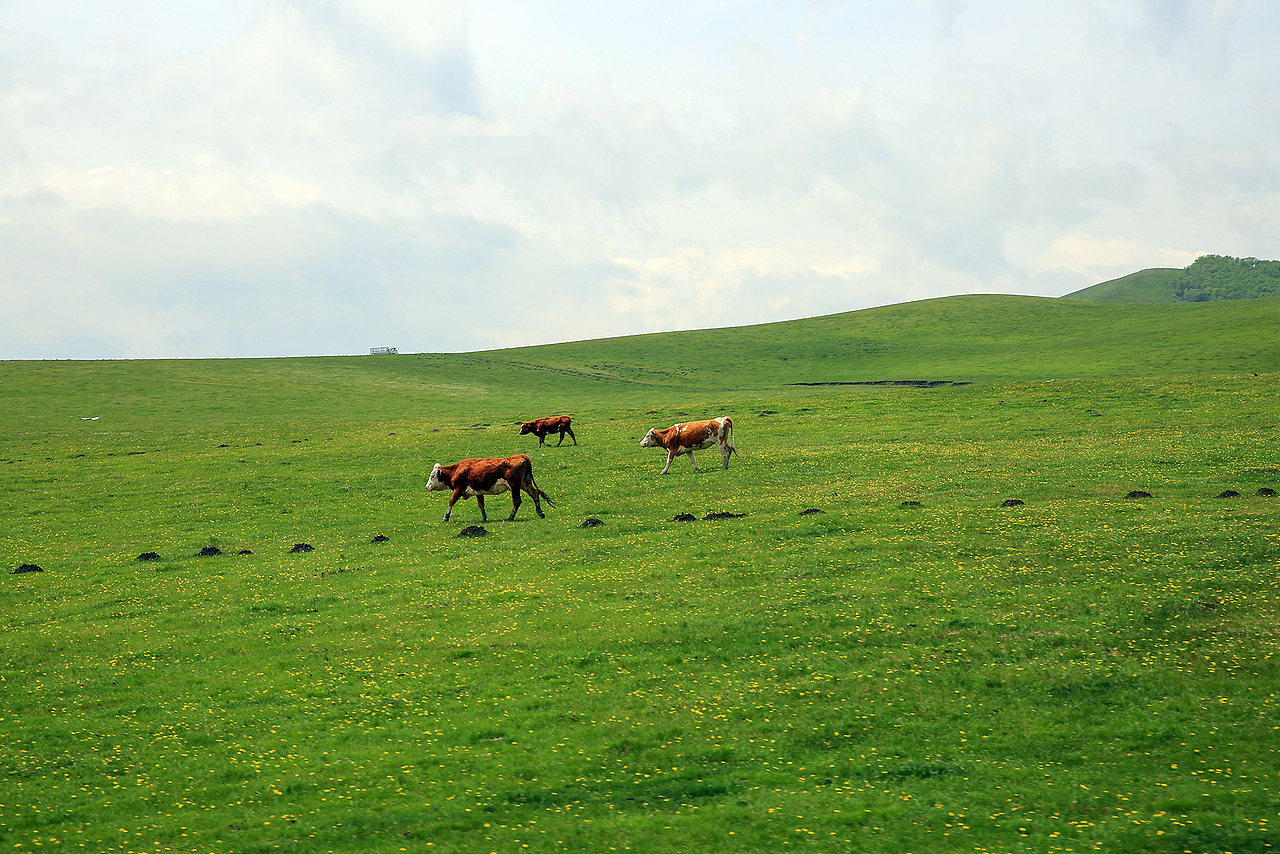 遥远的paradise（图ZMzkxNDU0NTg0） - 风光摄影 - 站酷设计师京城老饕原创素材 - 站酷ZCOOL