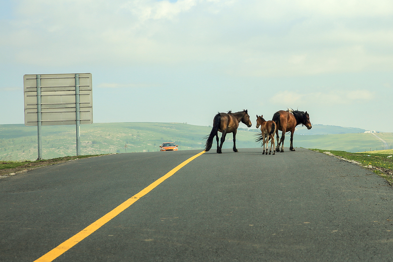 遥远的paradise（图ZMzkxNDU0NTcy） - 风光摄影 - 站酷设计师京城老饕原创素材 - 站酷ZCOOL