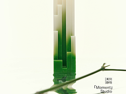 一只绿枝斜倚，成为冬日中唯一生命痕迹