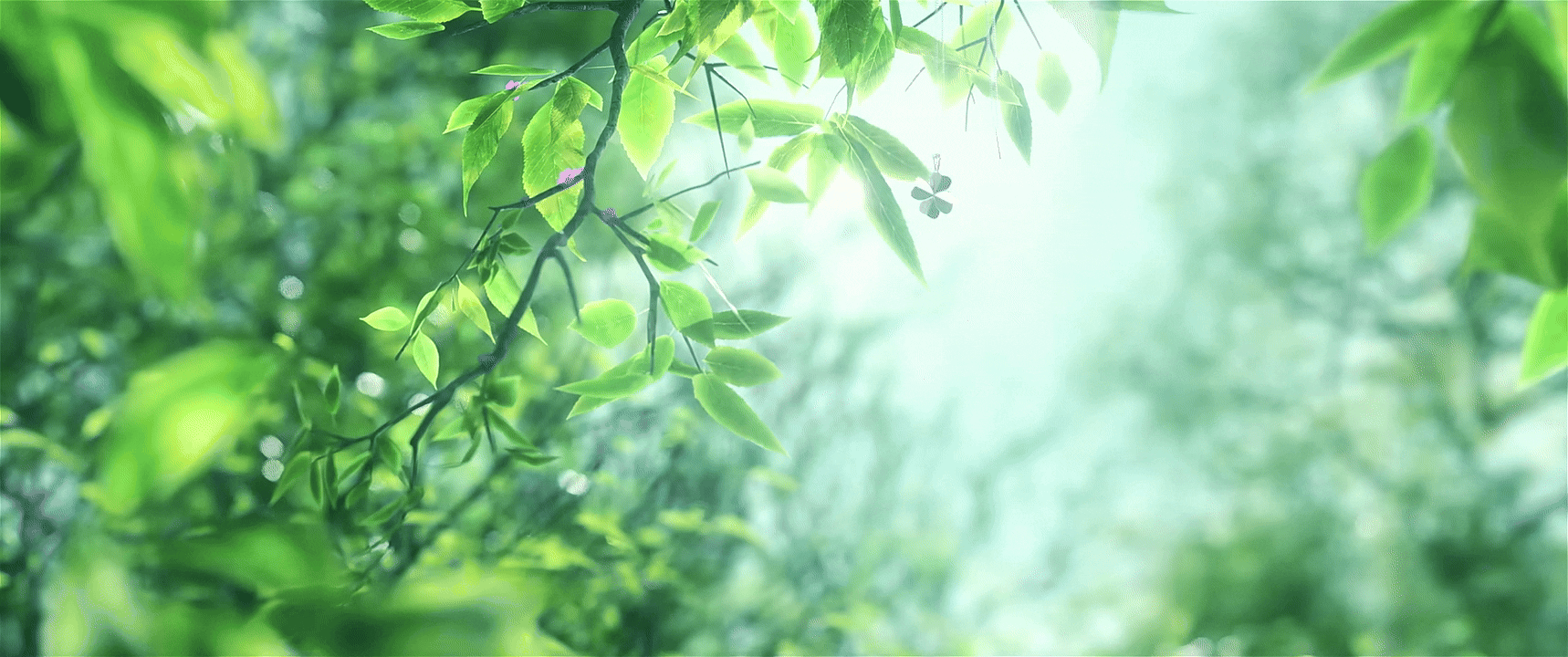 《陷入我们的热恋》剧集片头_个人制作部分