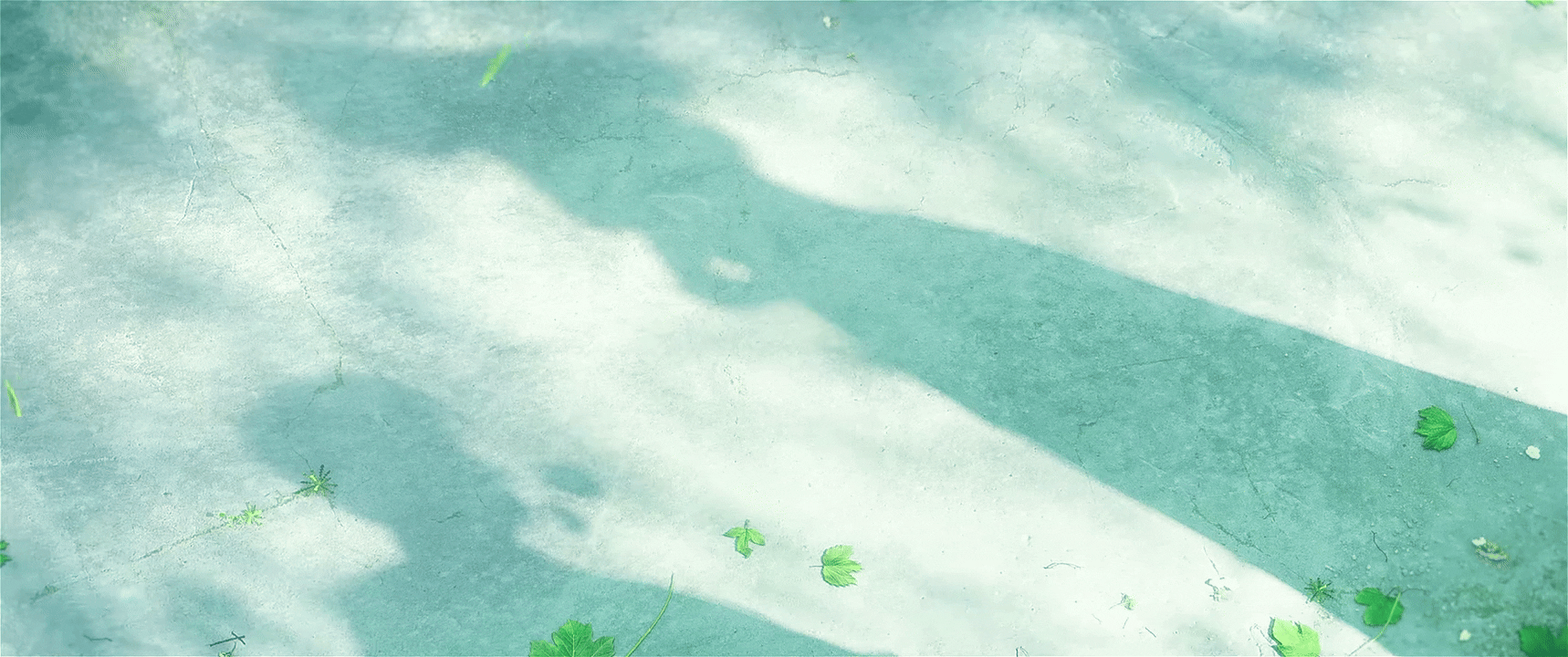 《陷入我们的热恋》剧集片头_个人制作部分