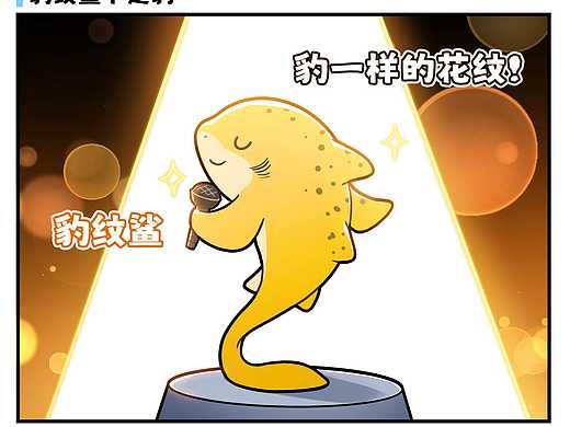 为什么叫豹纹鲨？<br>