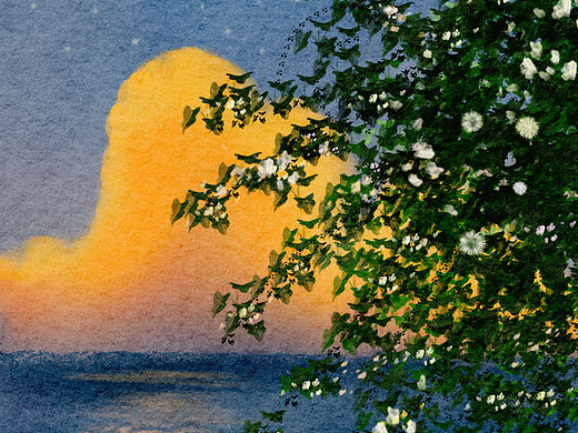 磨砂质感的底图好像更好看