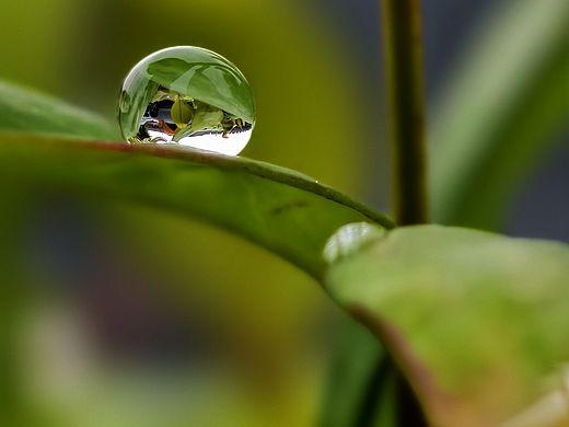 水珠