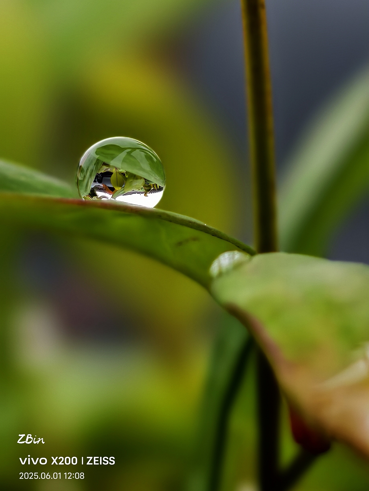 水珠（图ZMzkxNTIxNjE2） - 风光摄影 - 站酷设计师ZBin2009原创素材 - 站酷ZCOOL