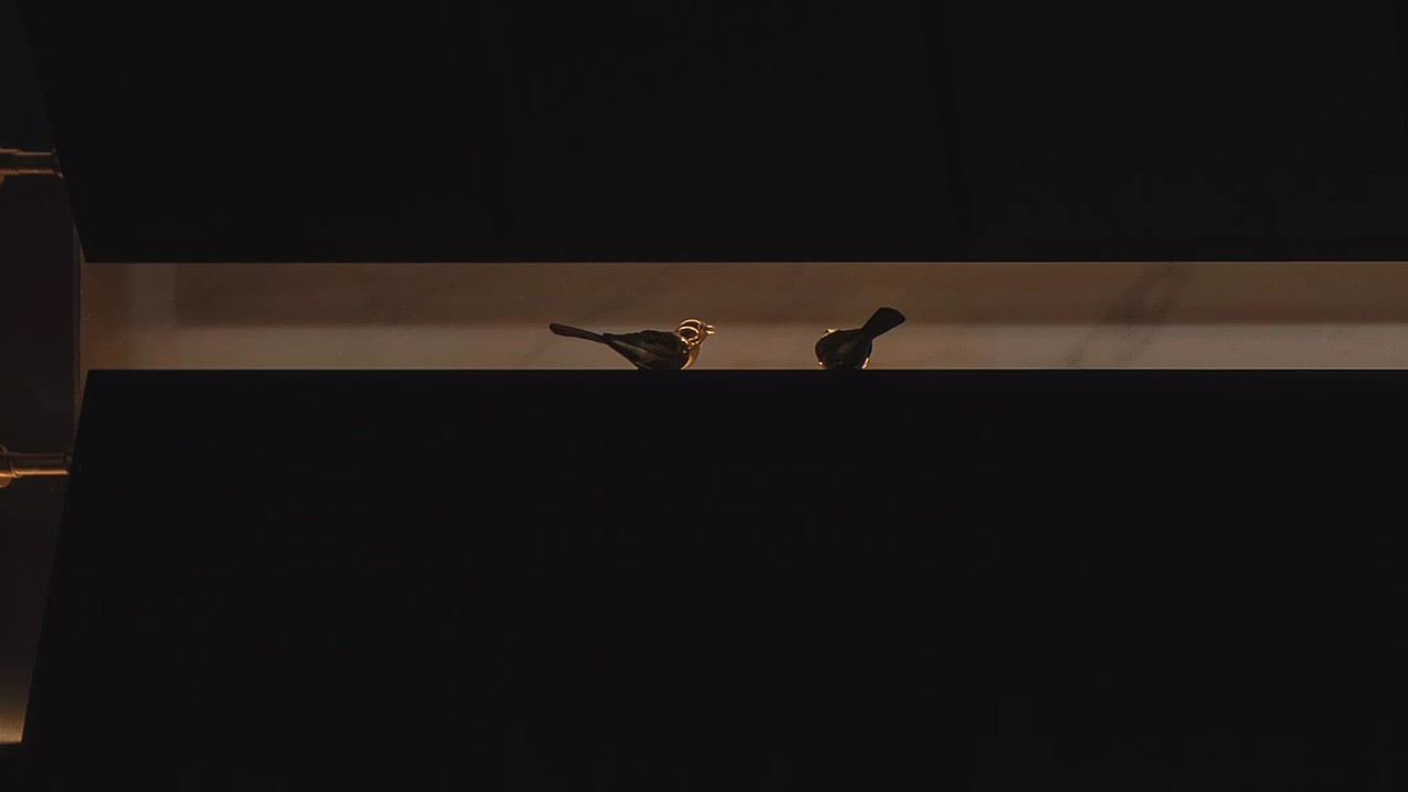 成都日式烧肉~武士的牛（图ZMzkxNTI0OTA4） - 品牌 - 站酷设计师了凡LiaoFan原创素材 - 站酷ZCOOL