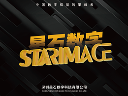 星石數(shù)字｜2025年精選項(xiàng)目集錦