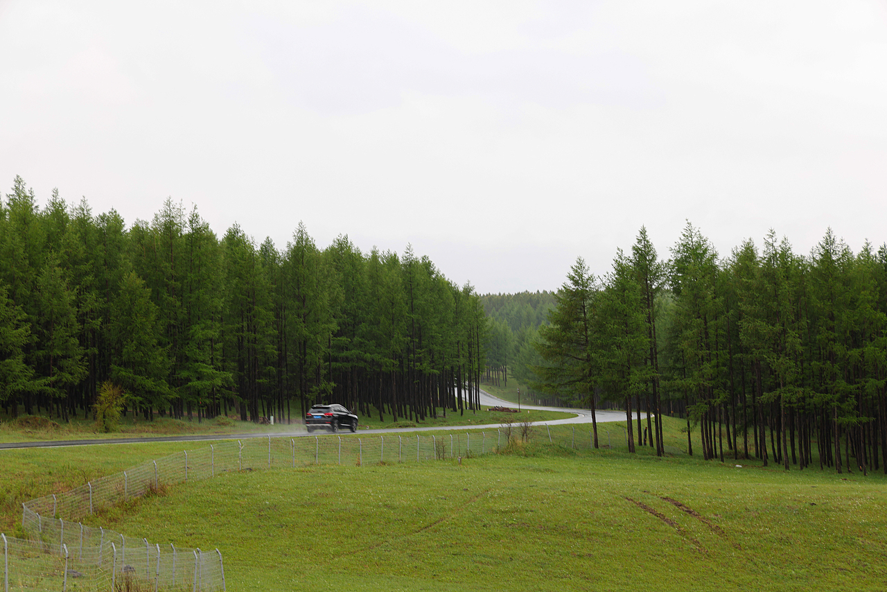夏季 美梦的缝隙