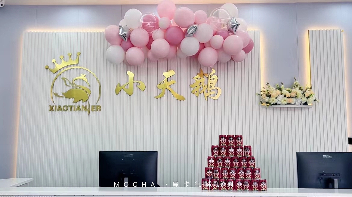 小天鹅开业大吉，门头布置（图ZMzkxNTU4NTg0） - 宣传物料 - 站酷设计师小容同学原创素材 - 站酷ZCOOL